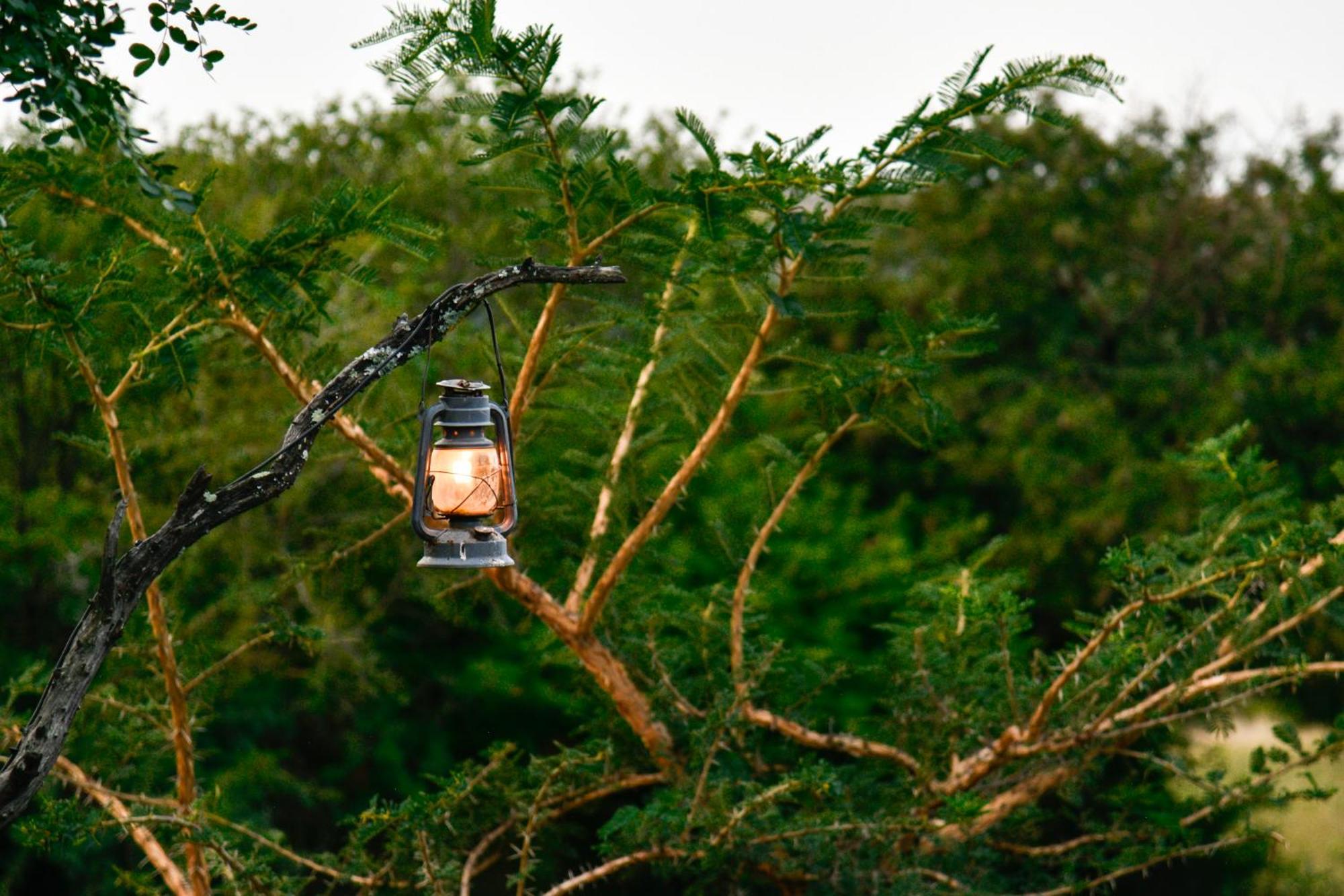 The Springbok Lodge Ladysmith Ngoại thất bức ảnh
